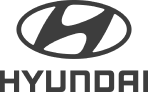 case_hyundai